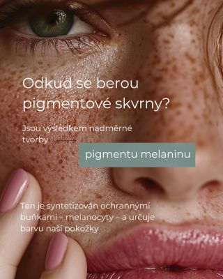 Pigmentové skvrny se neobjevují náhle. Slunce, hormonální změny, věk nebo záněty postupně narušují přirozenou rovnováhu...